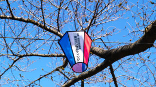 館林さくらまつり2026協賛ぼんぼり